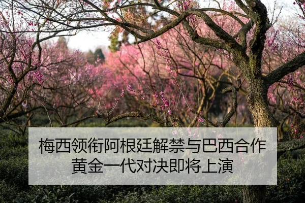 梅西领衔阿根廷解禁与巴西合作 黄金一代对决即将上演